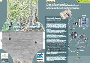 Bild der Titelseite der Publikation: Der Alpenbock [Rosalia alpina]