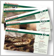 Bild der Titelseite der Publikation: Schlangen in Baden-Württemberg