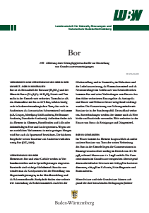 Bild der Titelseite der Publikation: Bor