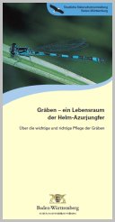 Bild der Titelseite der Publikation: Gräben - ein Lebensraum der Helm-Azurjungfer
