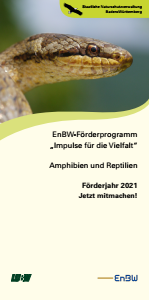 Bild der Titelseite der Publikation: ENBW-Förderprogramm "Impulse für die Vielfalt"