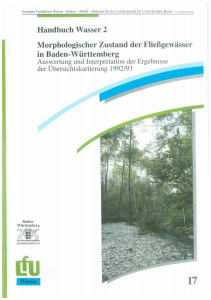 Bild der Titelseite der Publikation: Morphologischer Zustand der Fließgewässer in Baden-Württemberg