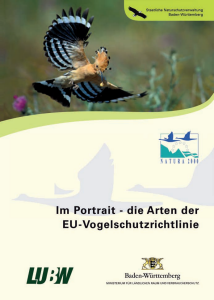 Bild der Titelseite der Publikation: Im Portrait - die Arten der EU-Vogelschutzrichtlinie