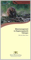 Bild der Titelseite der Publikation: Bibermanagement im Regierungsbezirk Tübingen