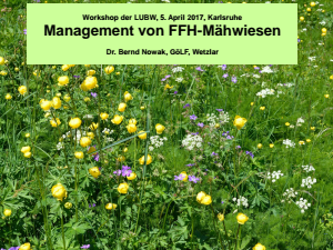 Bild der Titelseite der Publikation: Management von FFH-Mähwiesen