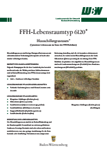 Bild der Titelseite der Publikation: FFH-Lebensraumtyp 6120