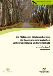 Bild der Titelseite der Publikation: Die Platane im Siedlungsbereich - ein Spannungsfeld zwischen Verkehrssicherung und Artenschutz
